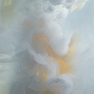 Meet your Posher, Ted